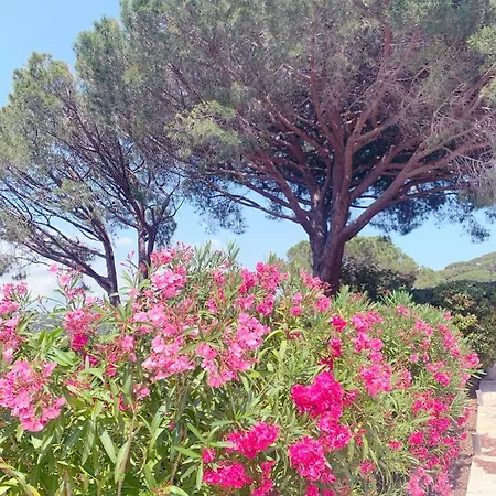 Avec Piscine Privee * Sainte-Maxime